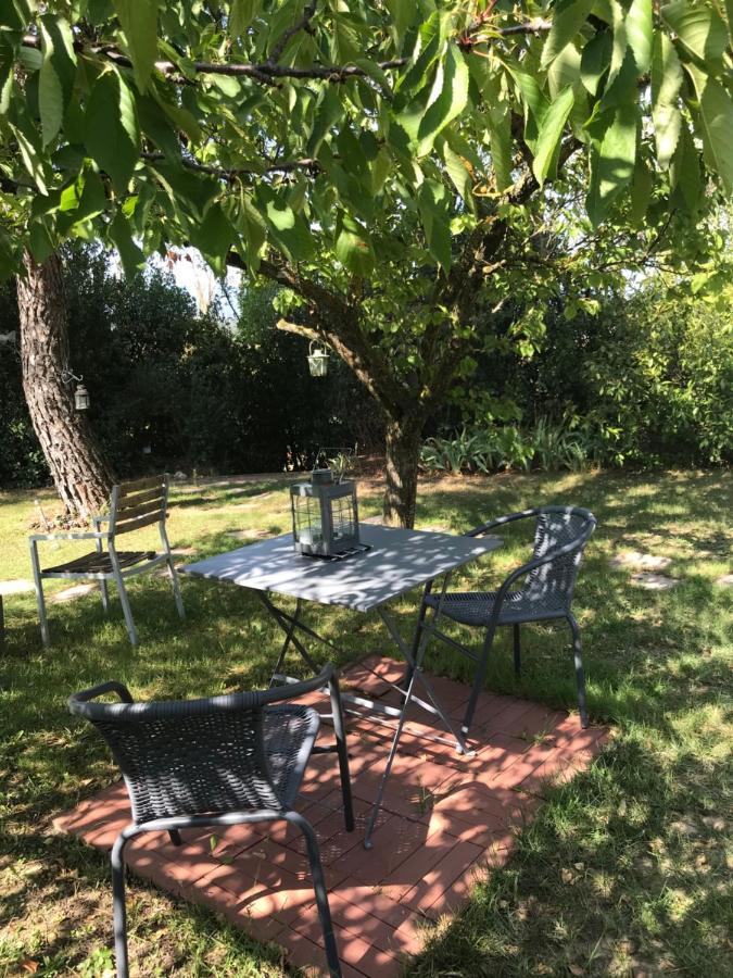 카르카손 Le Jardin De La Cite B&B 외부 사진